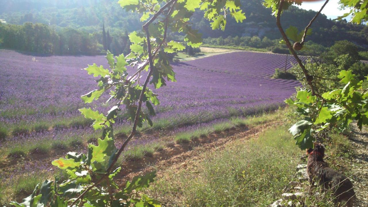 Les Vallons Holiday Home Lioux Eksteriør bilde